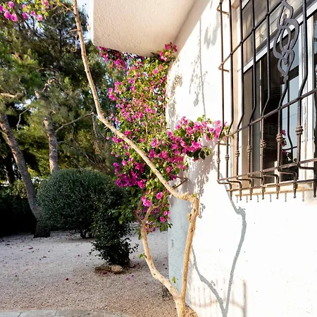 Bali Con Piscina E Giardino Privato By Cala Salento Βίλα Porto Cesareo