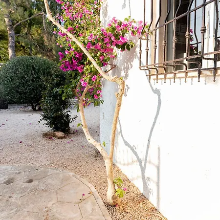 Bali Con Piscina E Giardino Privato By Cala Salento * Porto Cesareo