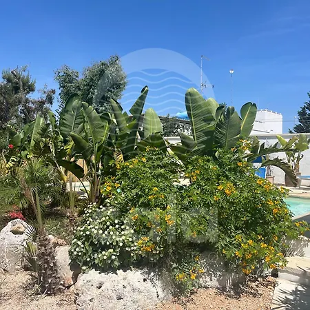 Bali Con Piscina E Giardino Privato By Cala Salento Villa *